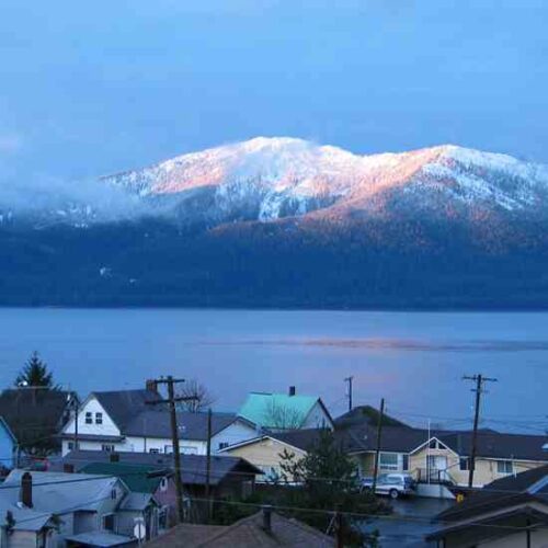 Wild About Alaska